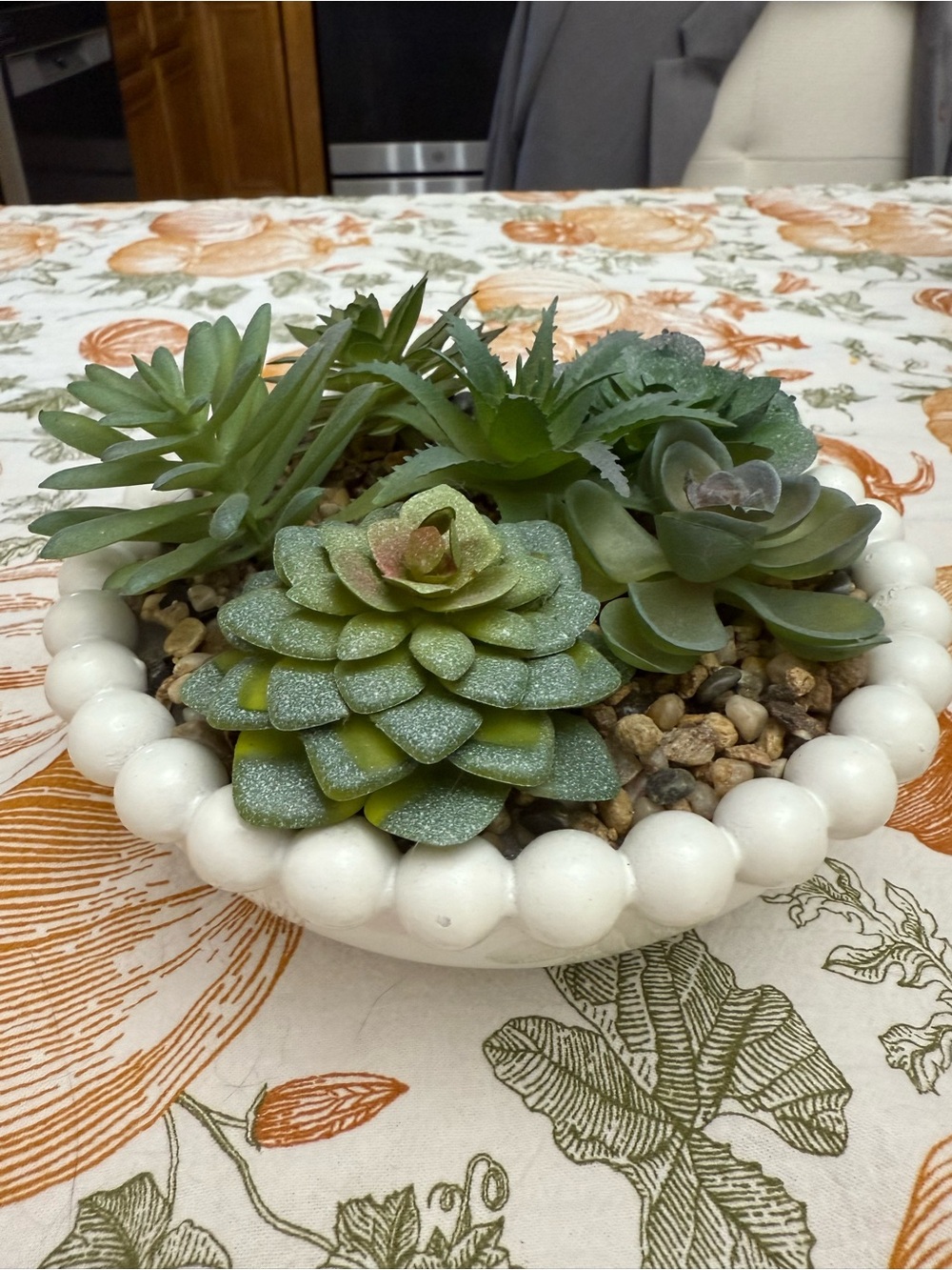 White Beaded Ceramic Bowl with Green Succulent Arrangement